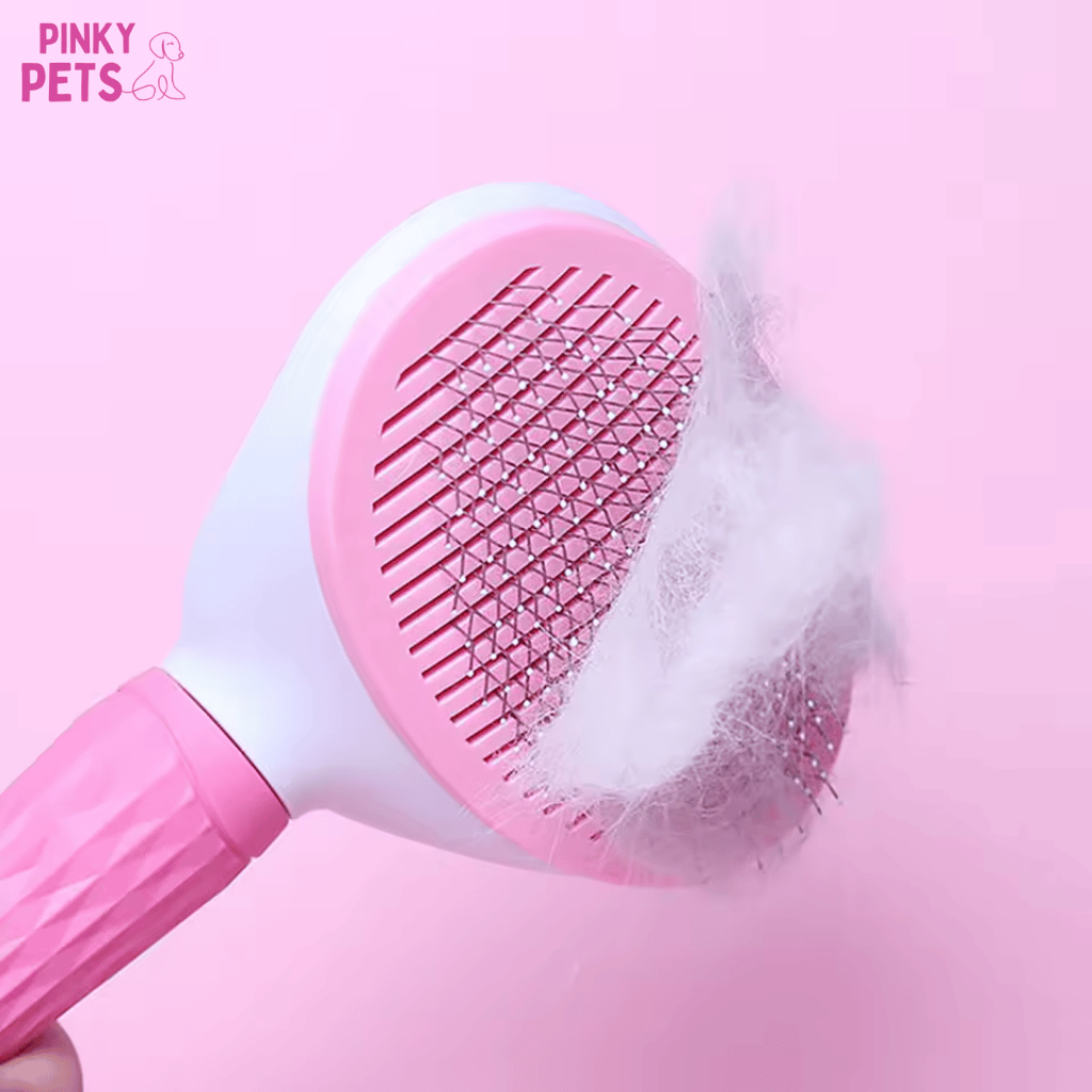 Brosse poils