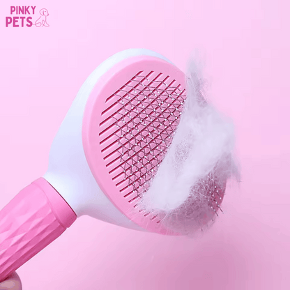 Brosse poils