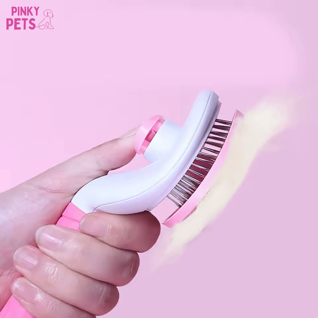 Brosse poils